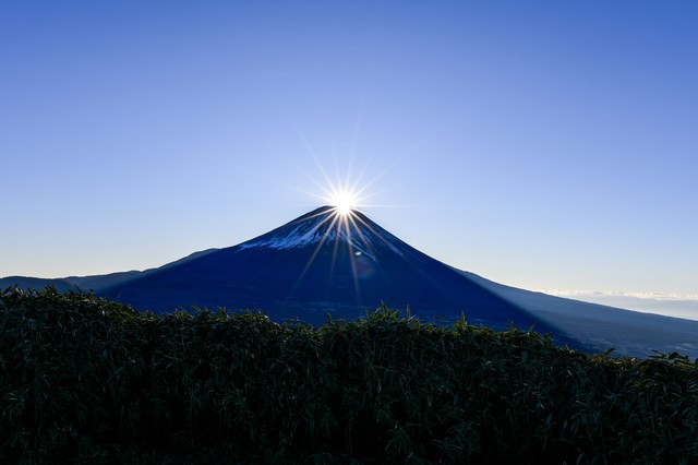 RSFUJI413004_TP_V1