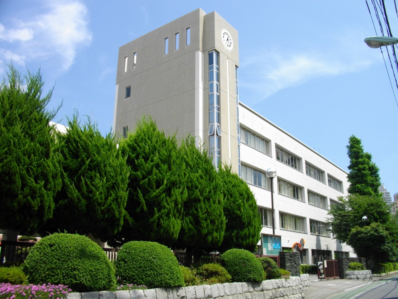 武田塾練馬校の近隣高校を紹介【練馬区・杉並区・中野区・豊島区等】